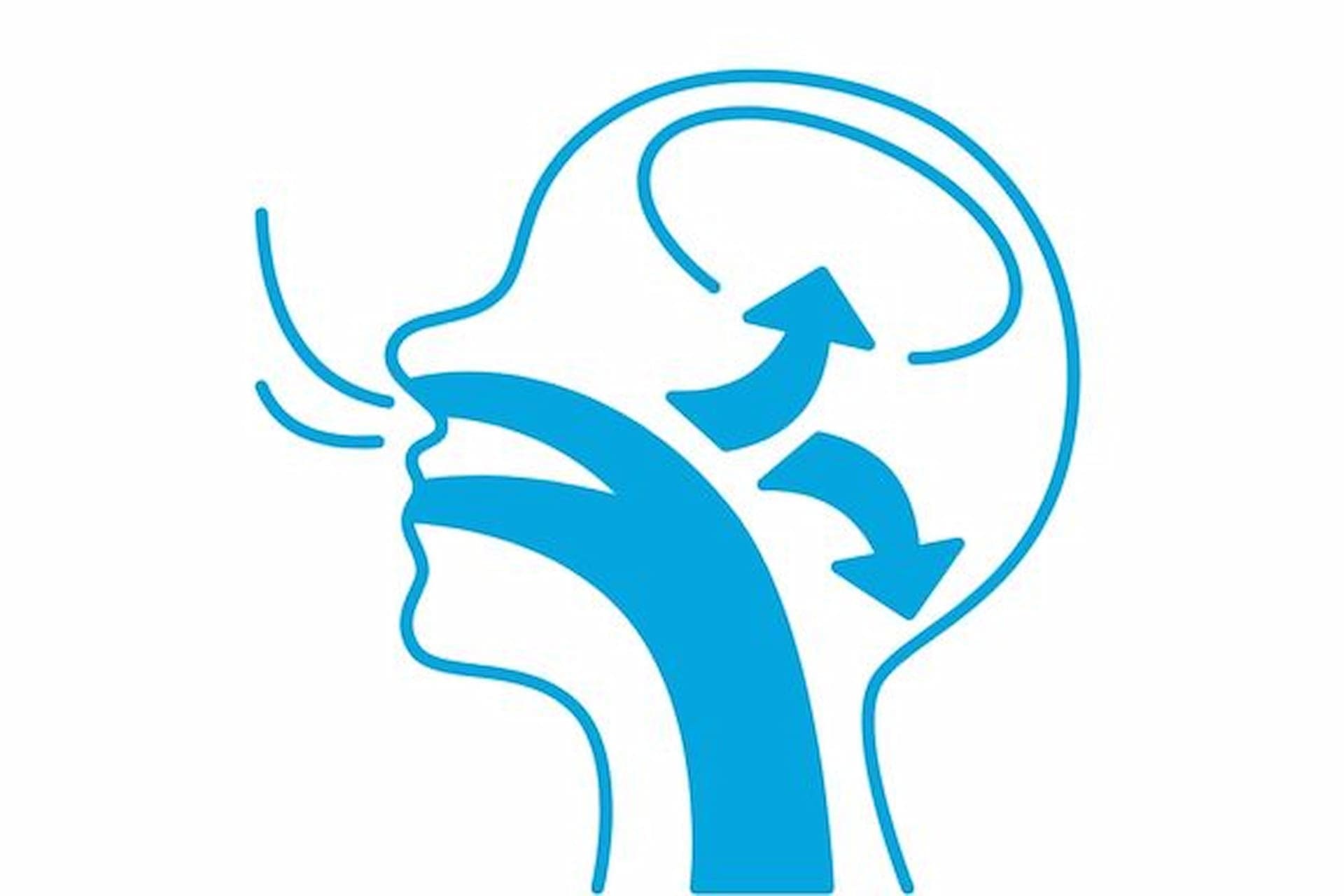 Diagram illustrating air pathways in a human head during breathing. Arrows guide the airflow through the nose and mouth, highlighting the typical journey for both nasal breathers and mouth breathers as it leads to the brain in West San Antonio and East San Antonio, TX